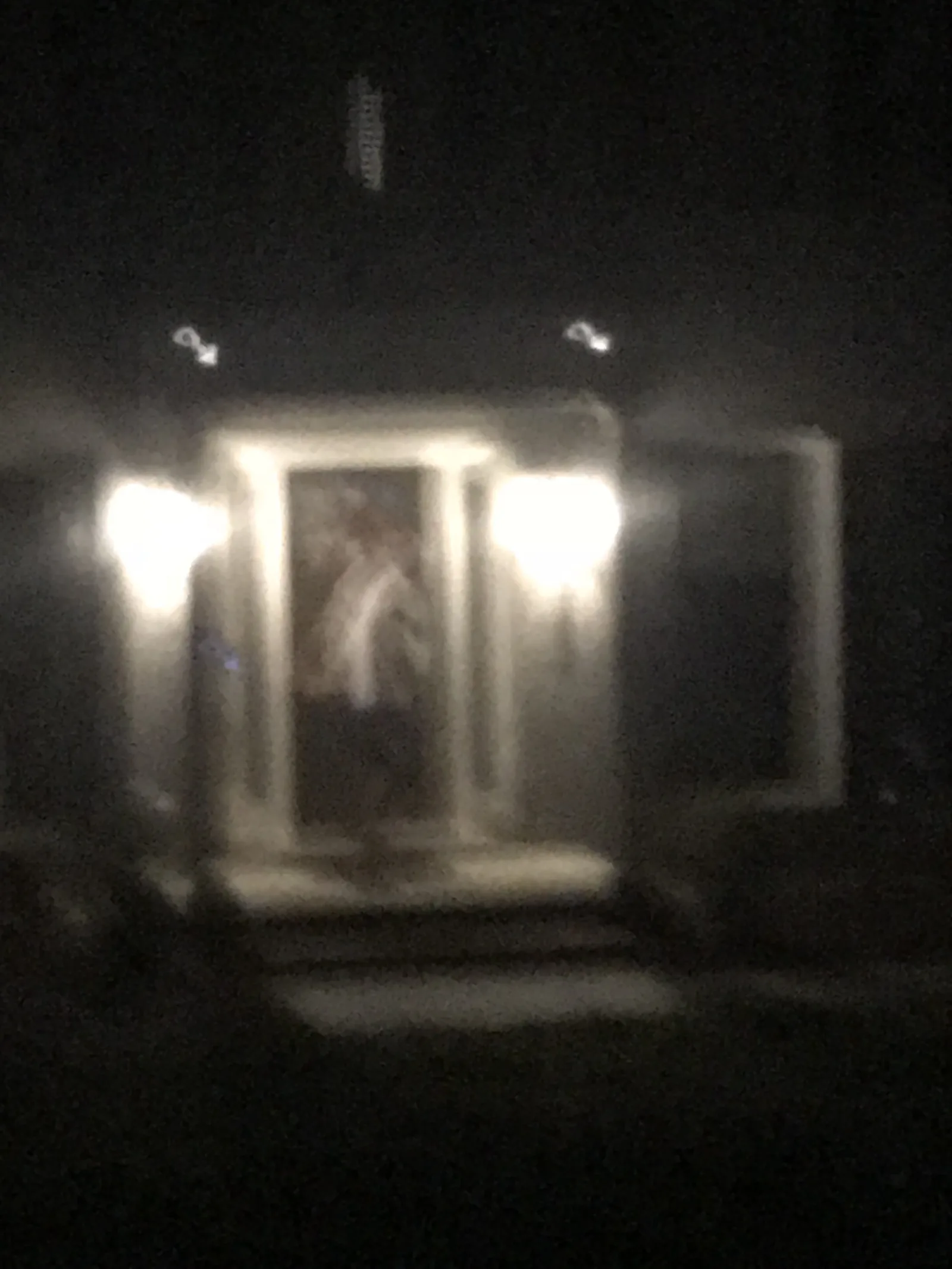 Bear sighting: Bear exiting bear den