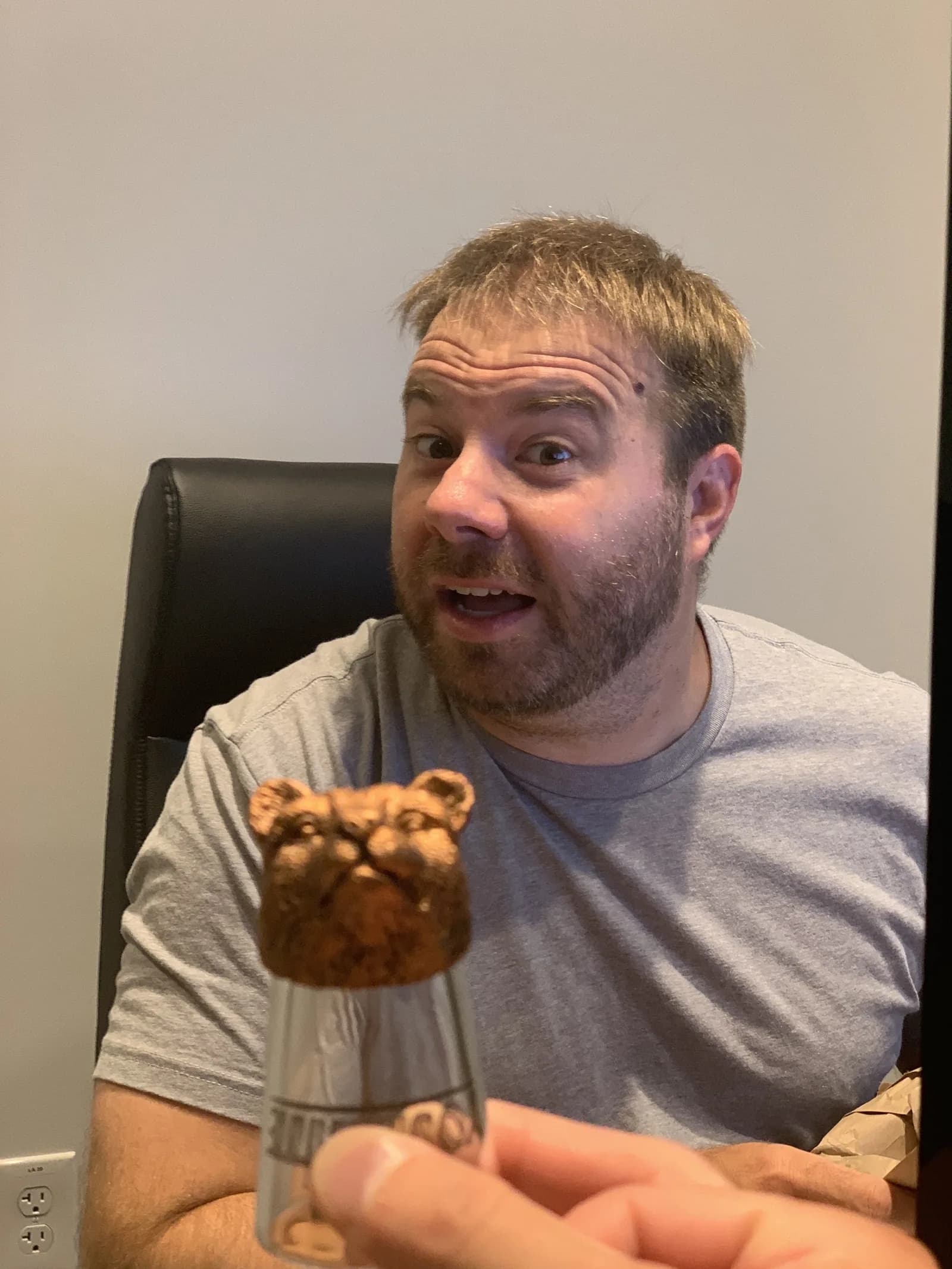 Bear sighting: Bear shot