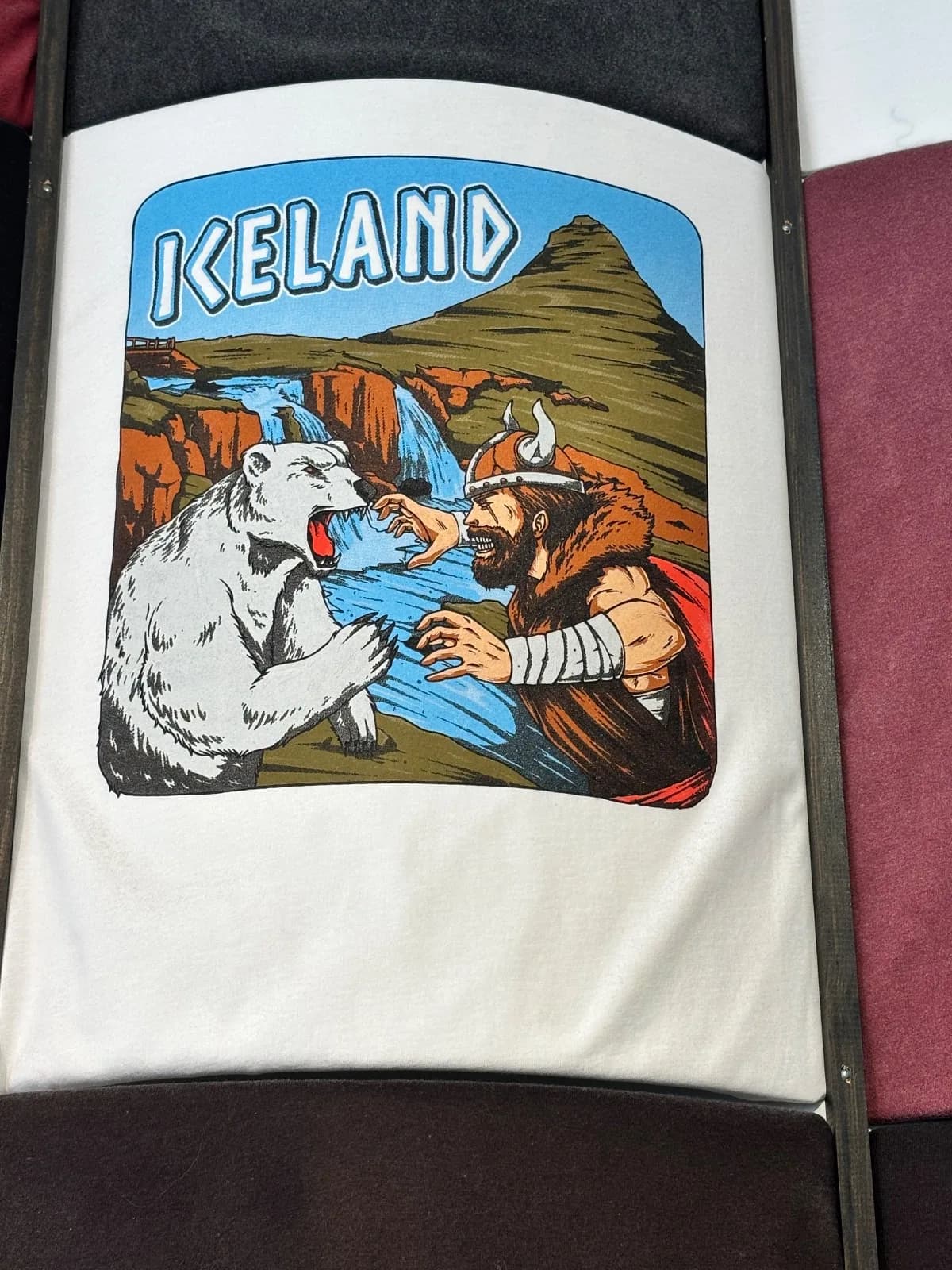 Bear sighting: Bear Vs Viking