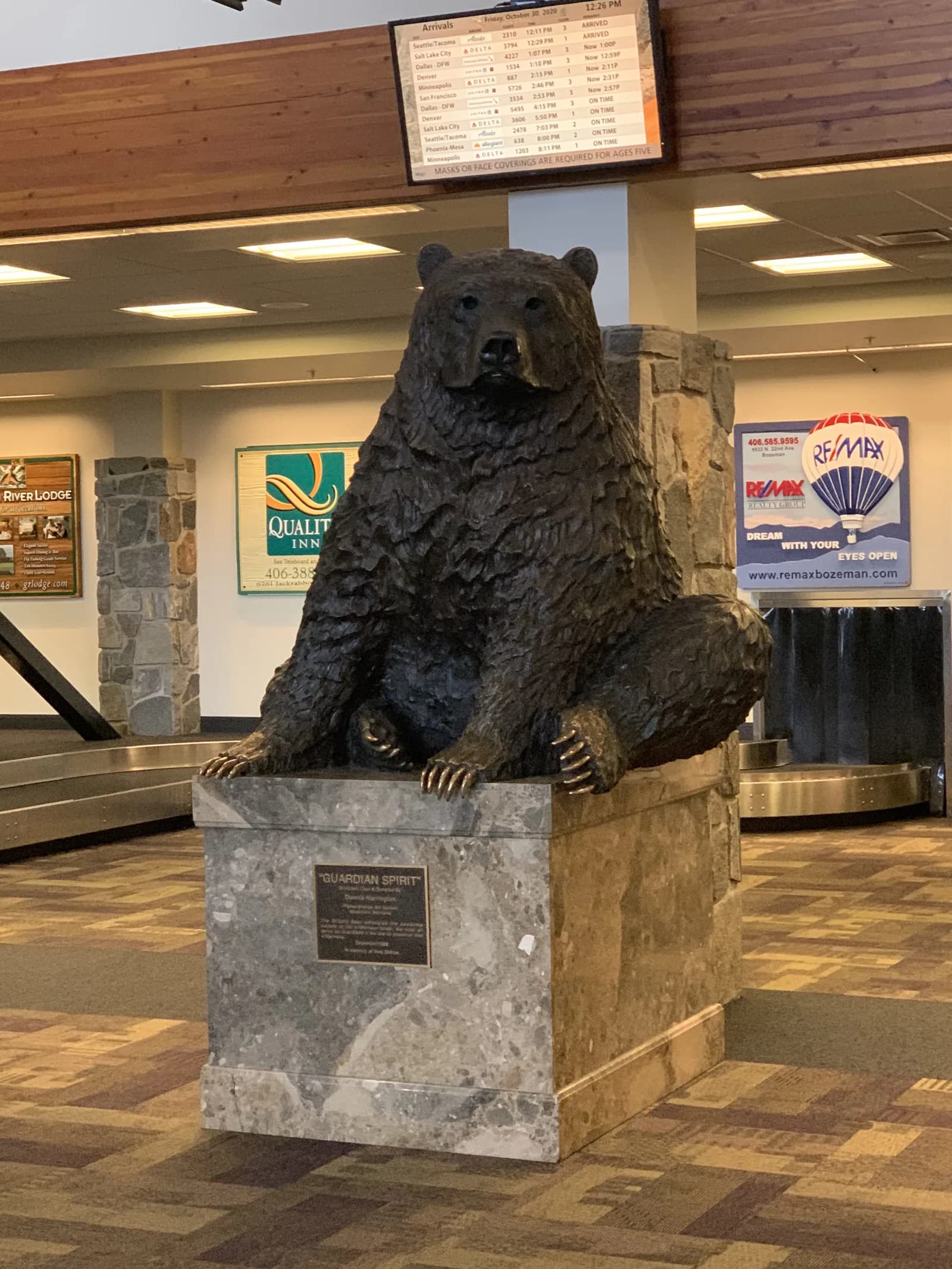 Bear sighting: Bronze Bear