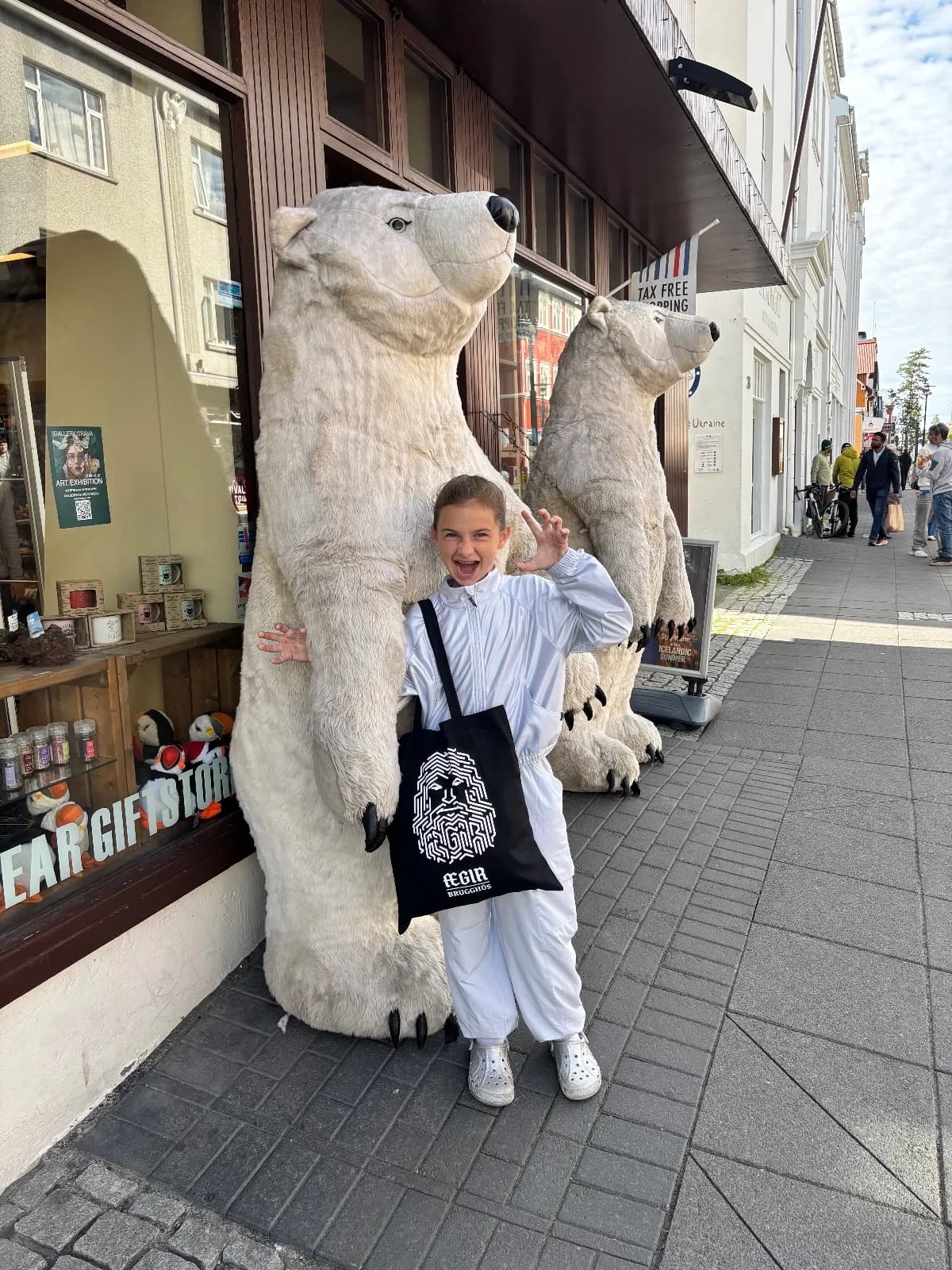 Bear sighting: Icelandic polar bear