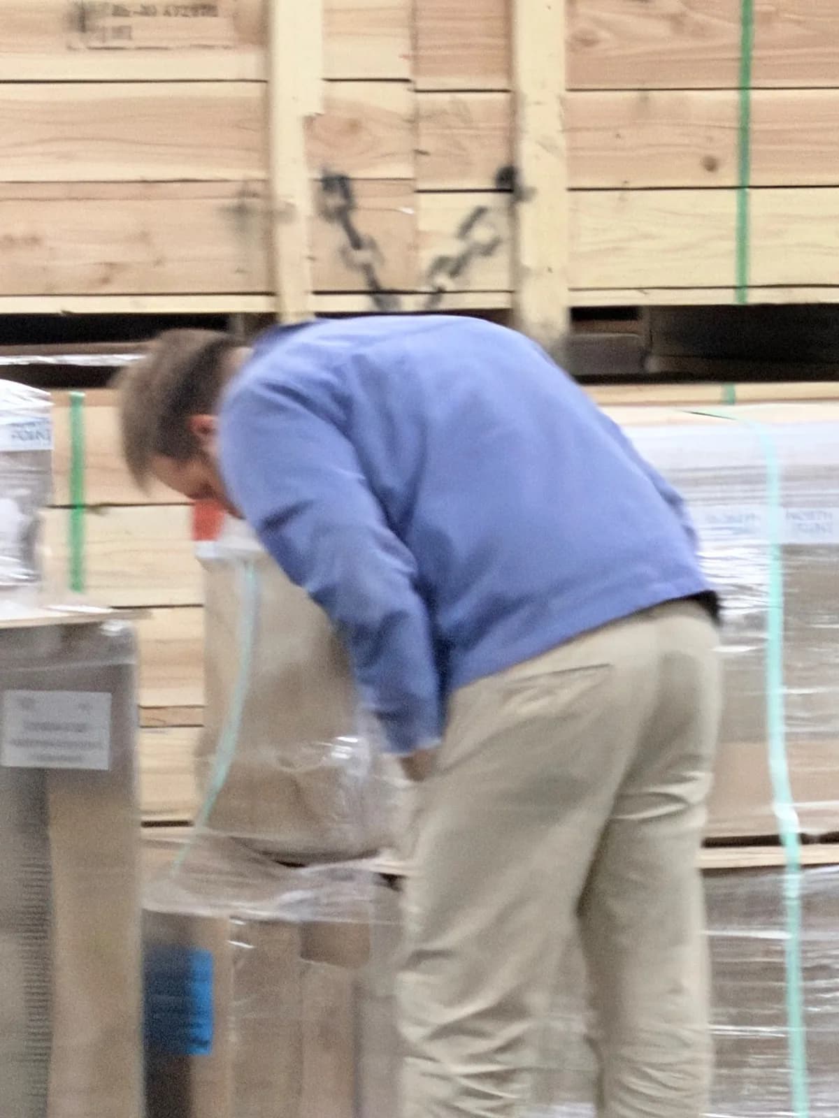 Bear sighting: Inspecting bear