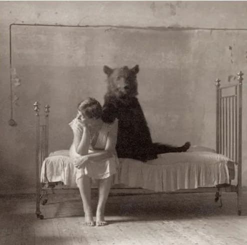 Bear sighting: Old fashioned bear