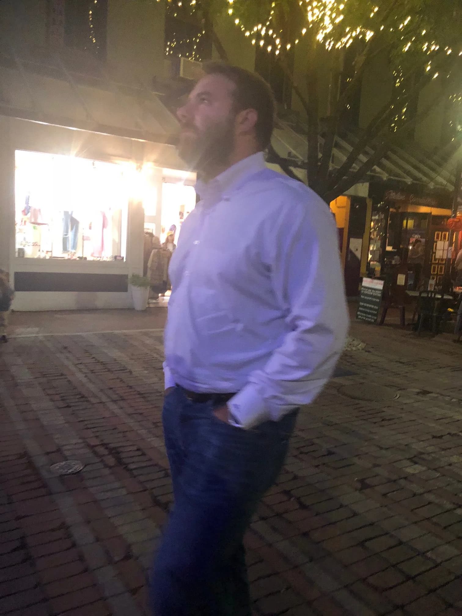 Bear sighting: Shopping bear