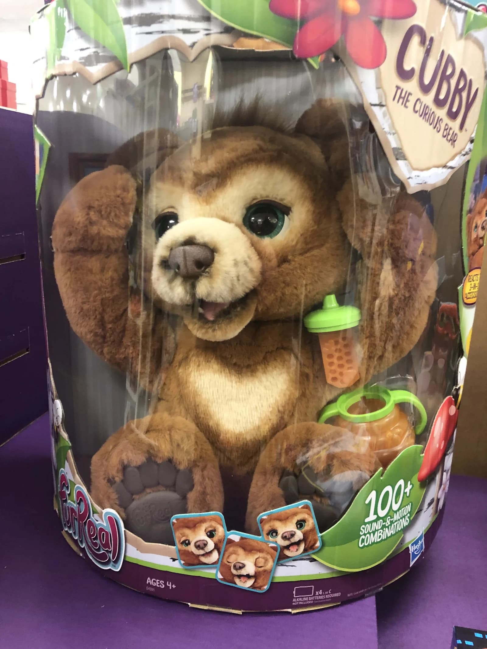 Bear sighting: The Curious Bear