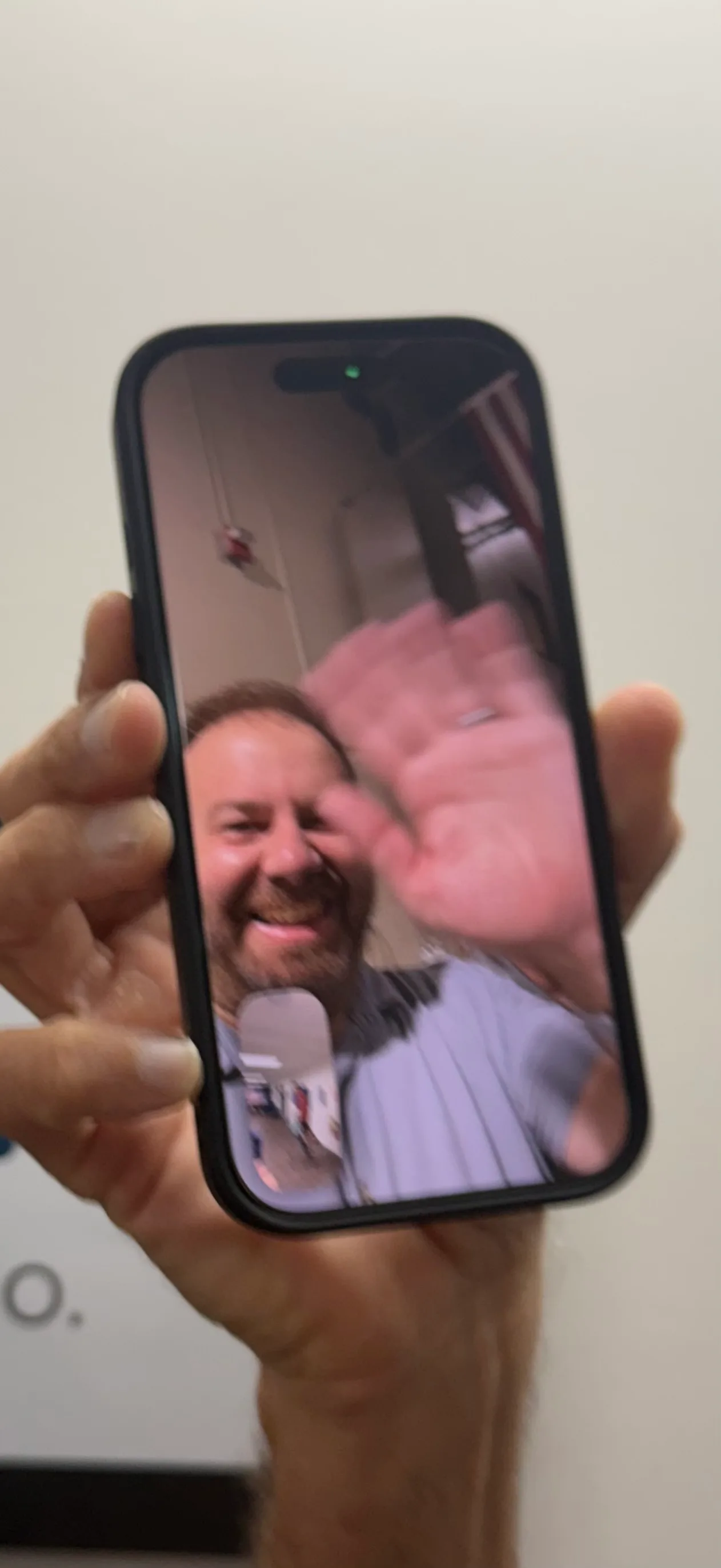 Bear sighting: Virtual huddle bear